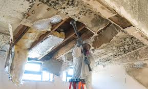 Best Mold Remediation for Healthcare Facilities  in White Salmon, WA